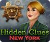 Hidden Clues: New York oyunu