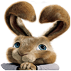Hop: Easter Bunny Coloring oyunu