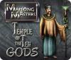 Mahjong Masters: Temple of the Ten Gods oyunu