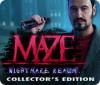 Maze: Nightmare Realm Collector's Edition oyunu