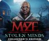 Maze: Stolen Minds Collector's Edition oyunu