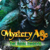 Mystery Age: The Dark Priests oyunu