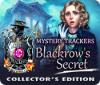 Mystery Trackers: Blackrow's Secret Collector's Edition oyunu