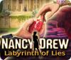 Nancy Drew: Labyrinth of Lies oyunu