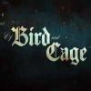 Of bird and cage oyunu