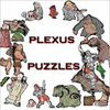 Plexus Puzzles oyunu