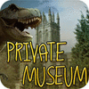 Private Museum oyunu