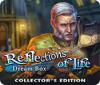 Reflections of Life: Dream Box Collector's Edition oyunu
