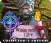 Royal Detective: Borrowed Life Collector's Edition oyunu