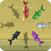 Shark Hunter oyunu