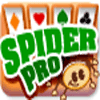 Spider Pro oyunu