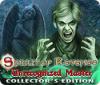 Spirit of Revenge: Unrecognized Master Collector's Edition oyunu