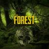 The Forest oyunu