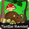 Turtles Harvest oyunu