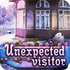 Unexpected Visitor oyunu