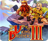 Viking Brothers 3 Collector's Edition oyunu