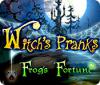Witch's Pranks: Frog's Fortune oyunu