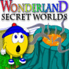 Wonderland Secret Worlds oyunu