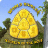 World Riddles: Secrets of the Ages oyunu